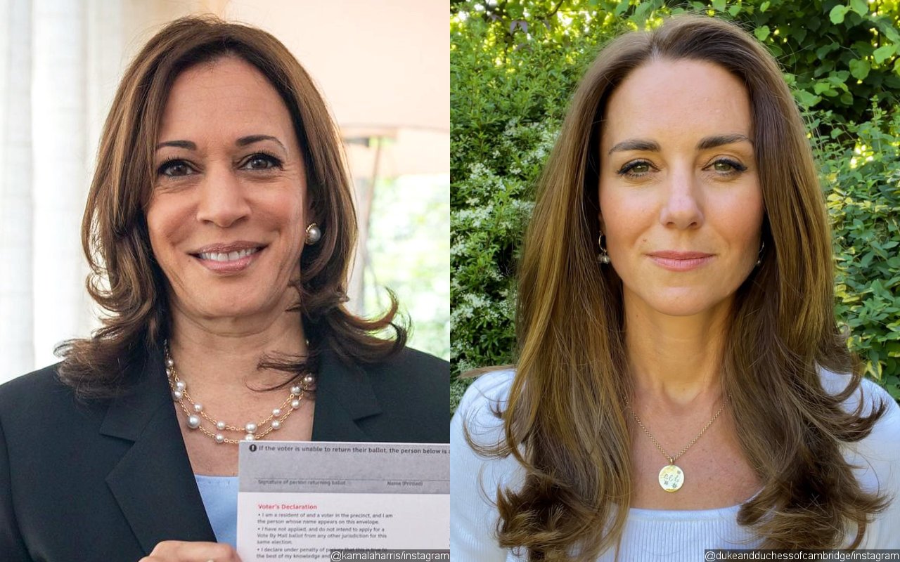 Kamala Harris, Kate Middleton Badly Bruised and Battered in Domestic Violence Campaign Posters