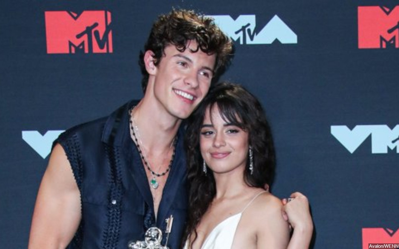 Shawn Mendes Releases Breakup Anthem 'It'll Be Okay' Following Camila