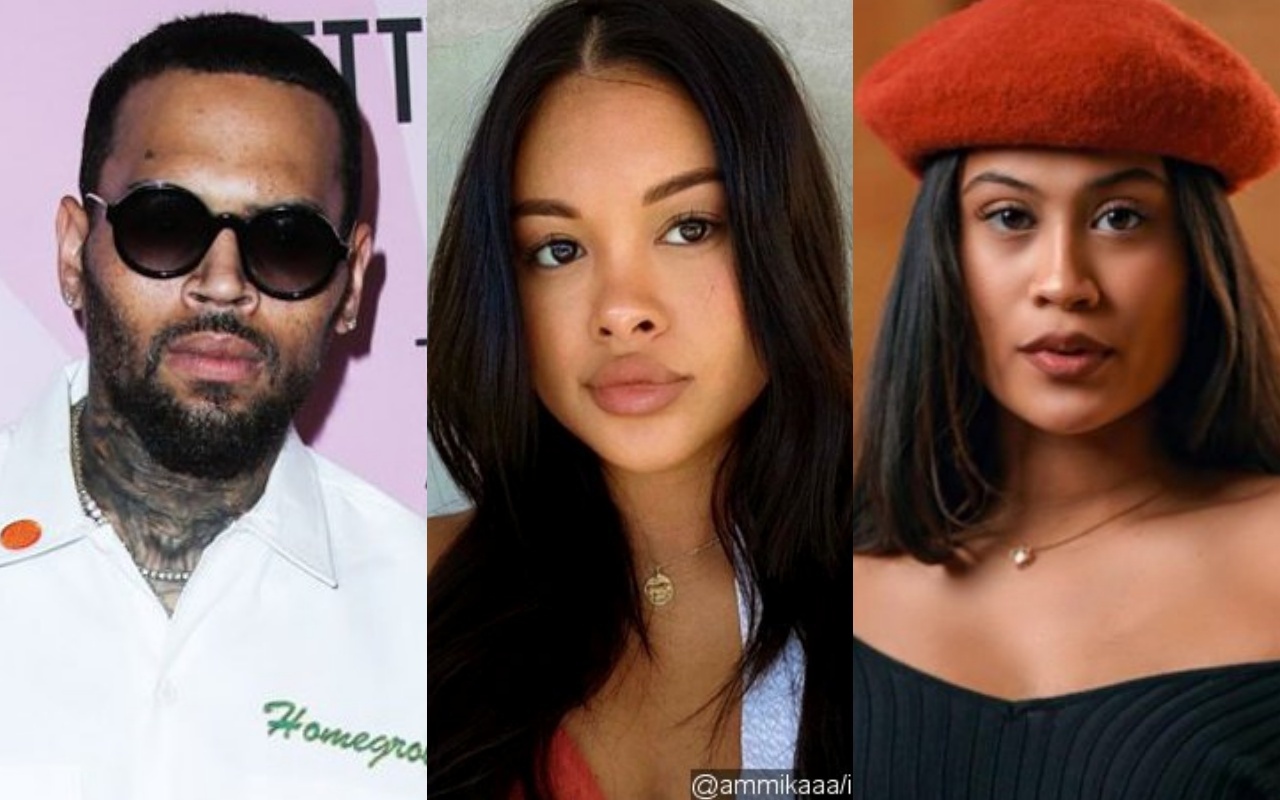 Chris Brown's Ex Ammika Harris 'Mad' He's Allegedly Expecting 3rd Child With Diamond Brown