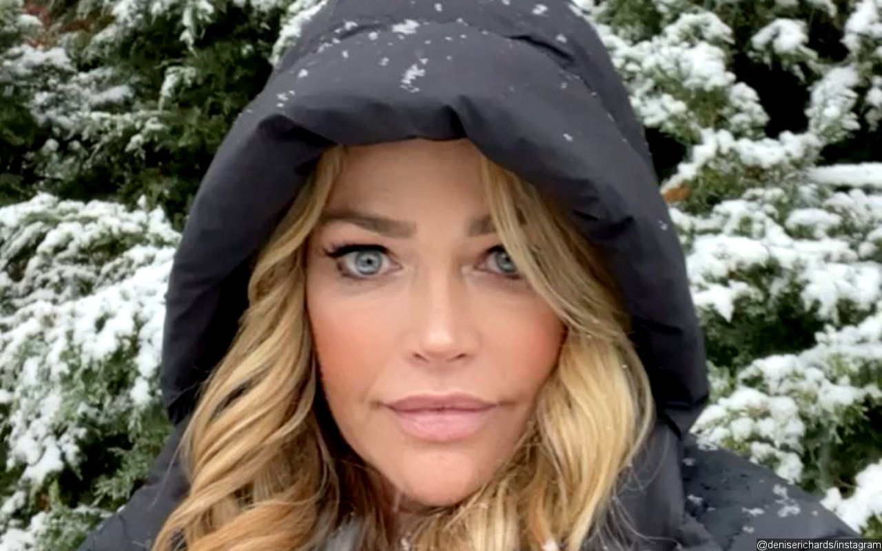 Denise Richards Admits She's 'an Idiot' After Posting Maskless Selfie on Plane