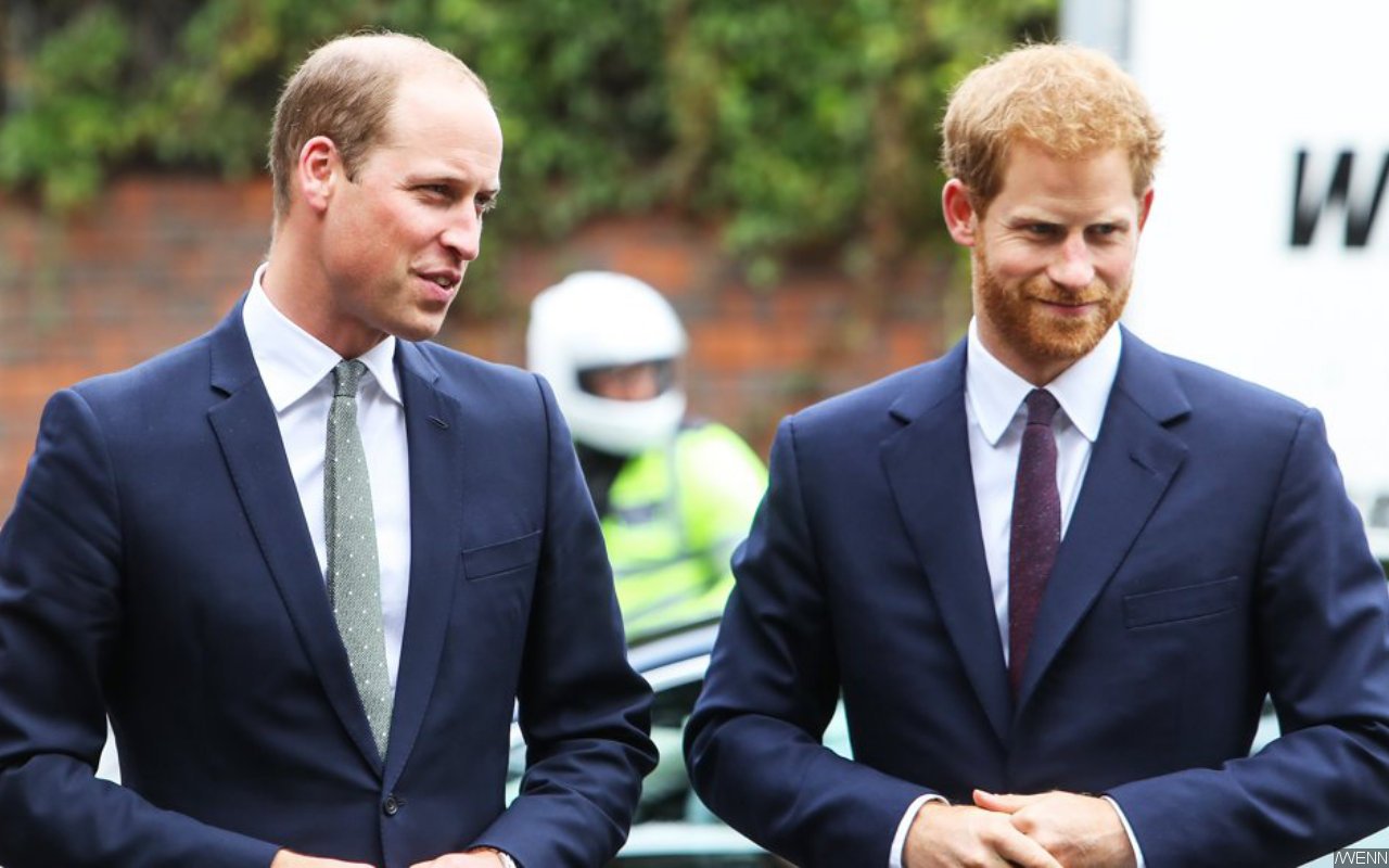 Prince William and Prince Harry