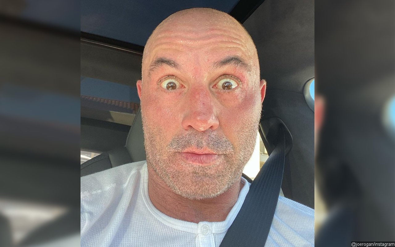 Joe Rogan Apologizes for Calling Black People 'Apes' And Using N-Word, Insists He's Not Racist 