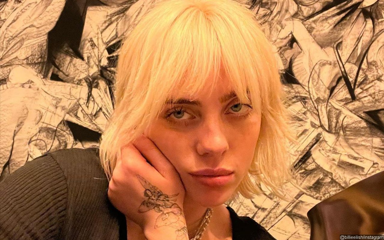 Billie Eilish Shares Video of Herself Pooping to Hit Back at Troll Criticizing Her 2022 Oscars Dress