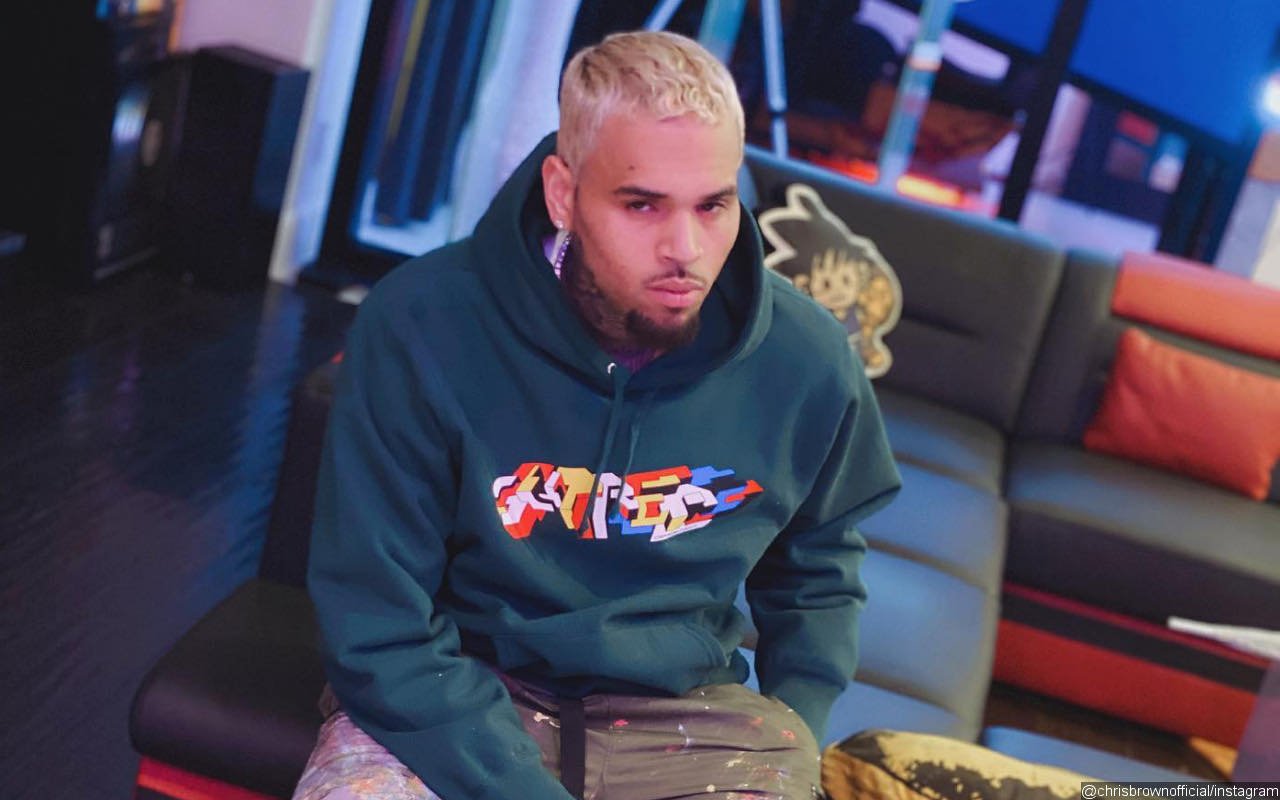 Chris Brown Confirms Third Child, Shares Pic of His Daughter With Diamond Brown for 1st Time