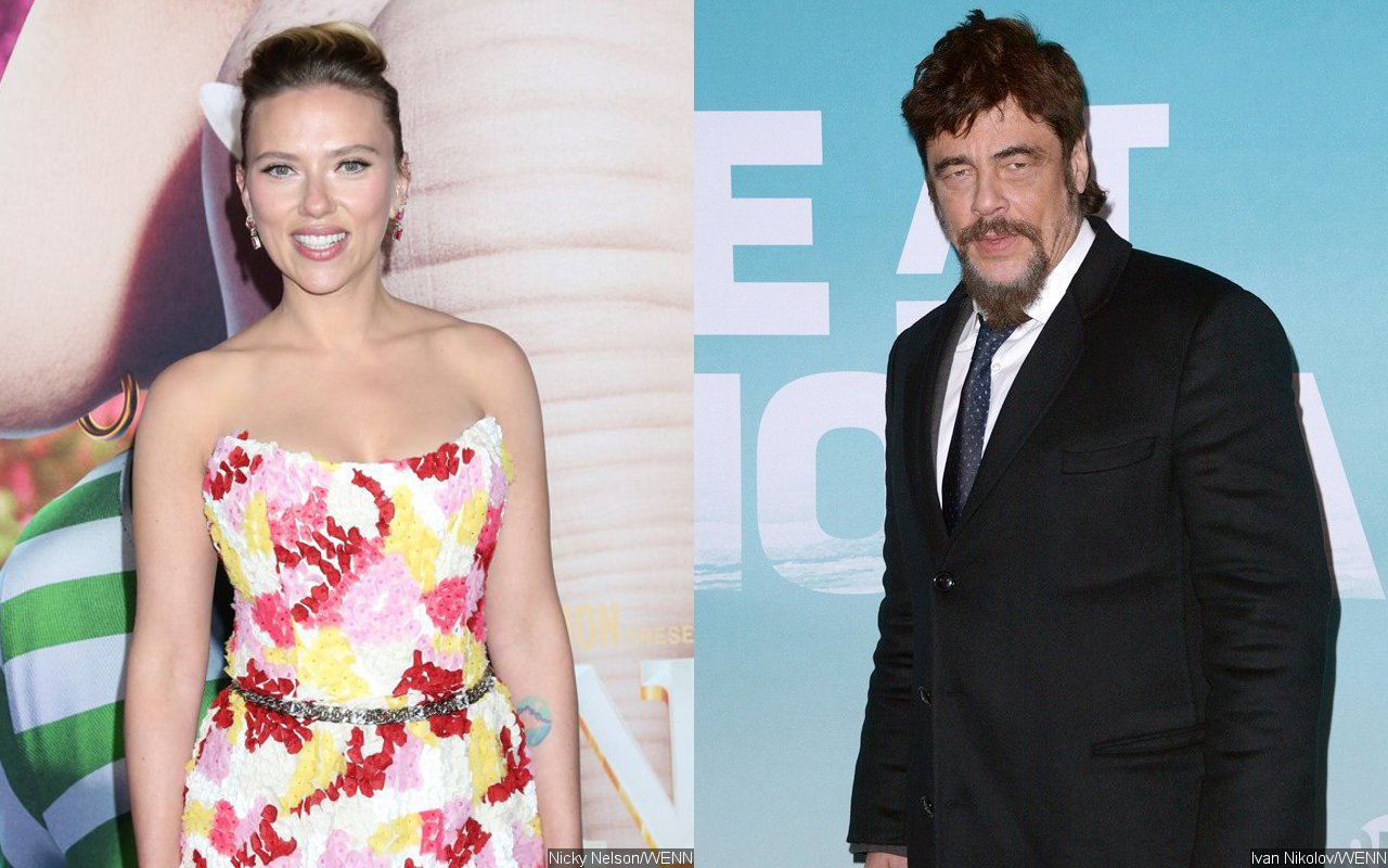 Del dating benicio toro Benicio Del