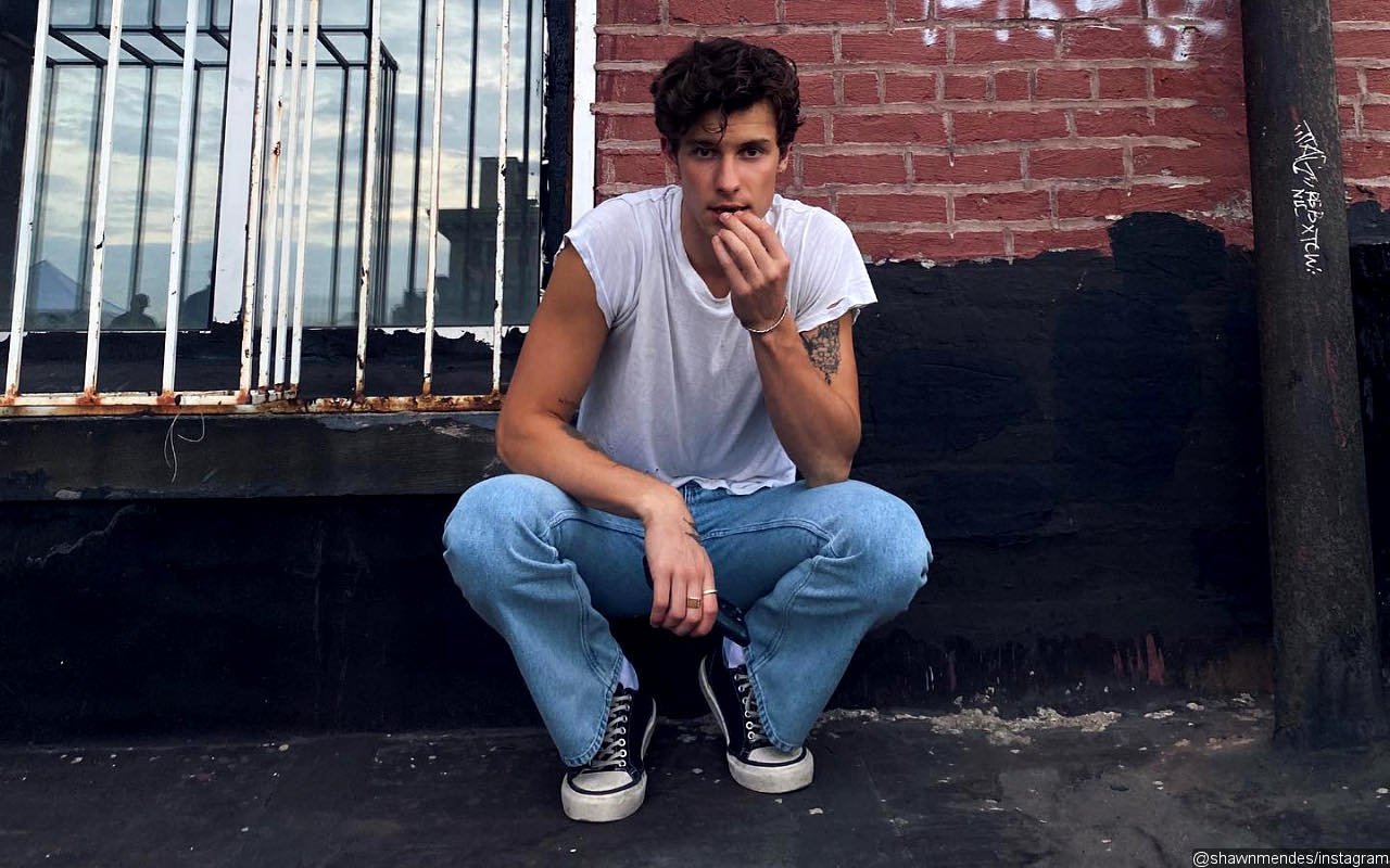 Fans Think Shawn Mendes Is Coming Out With Heartfelt Note About Being