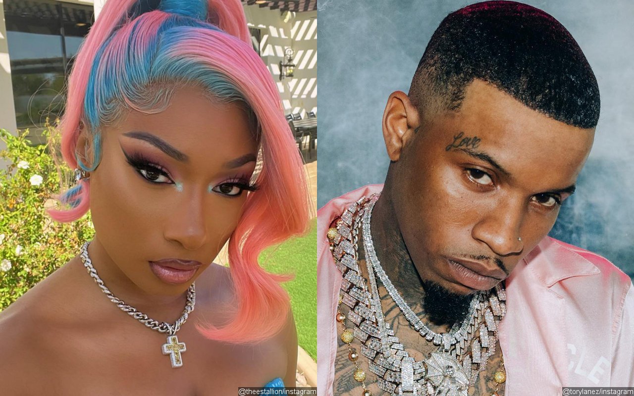 Megan Thee Stallion Releases Tory Lanez Diss Track 'Plan B' After