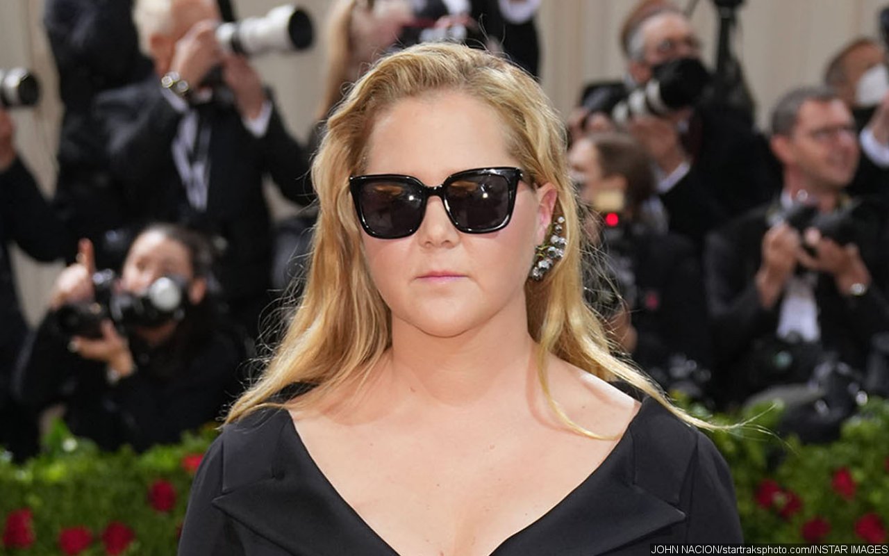 Amy Schumer Likens Met Gala's 2022 Theme Concept to 'Vibrator'