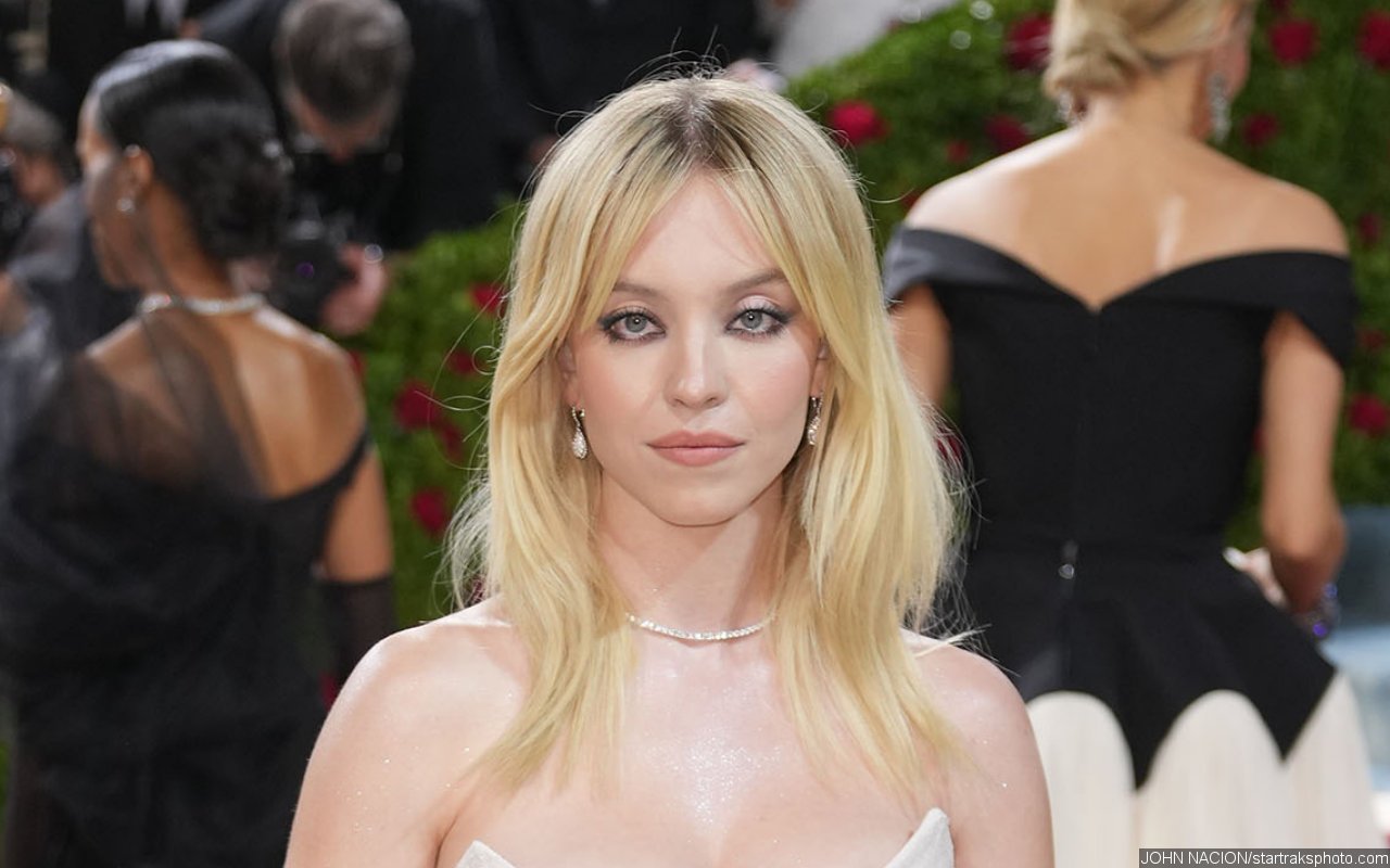 Met Gala Rep Responds After Sydney Sweeney Was Sexually Harassed on Red Carpet in Viral Clip