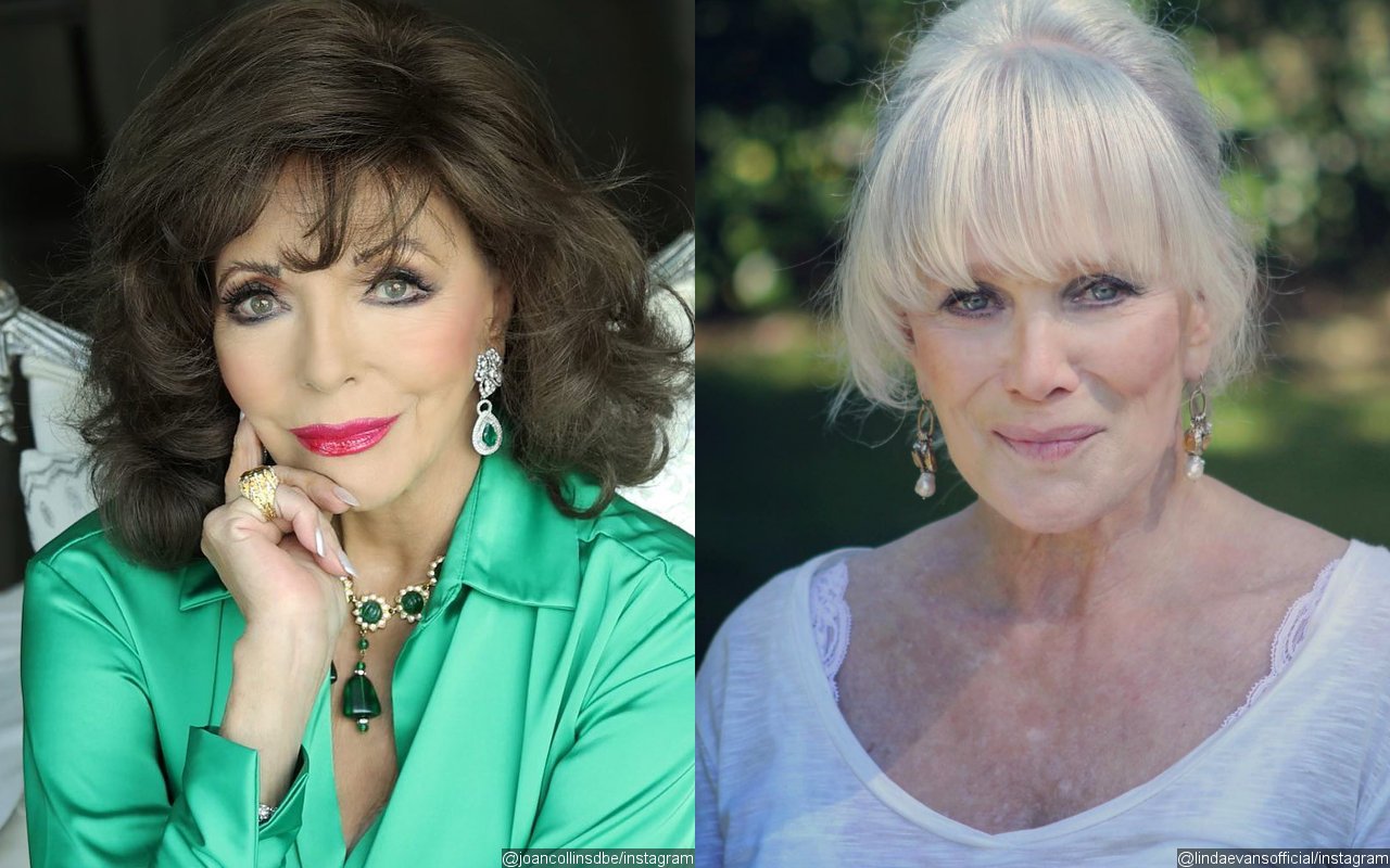 Joan Collins Details Her Cold Relationship With 'Dynasty' Co-Star Linda Evans