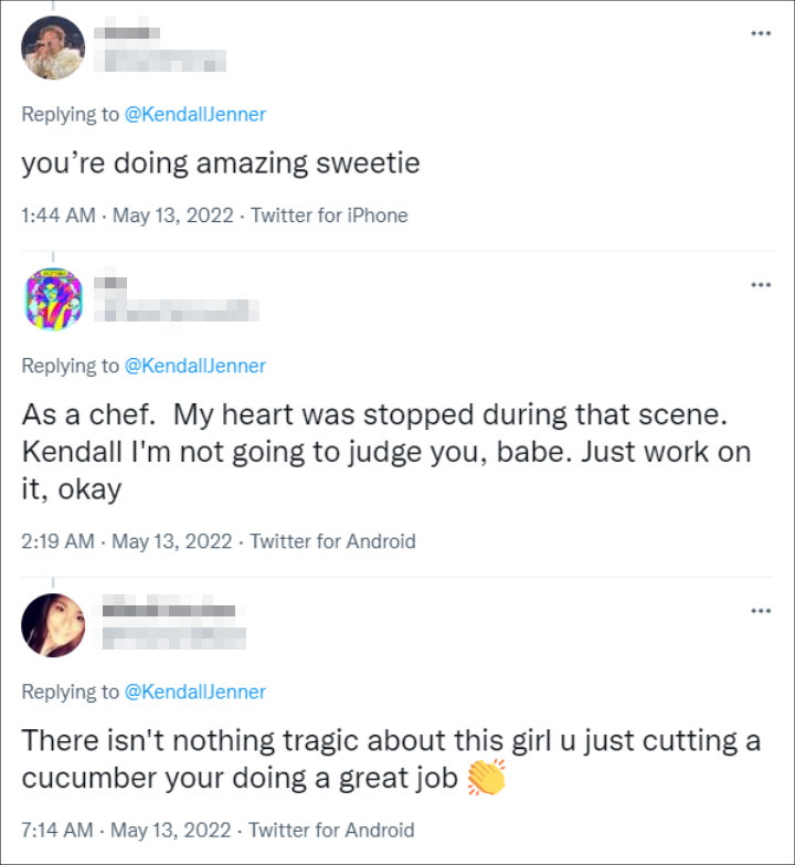 Kendall Jenner Twitter Response