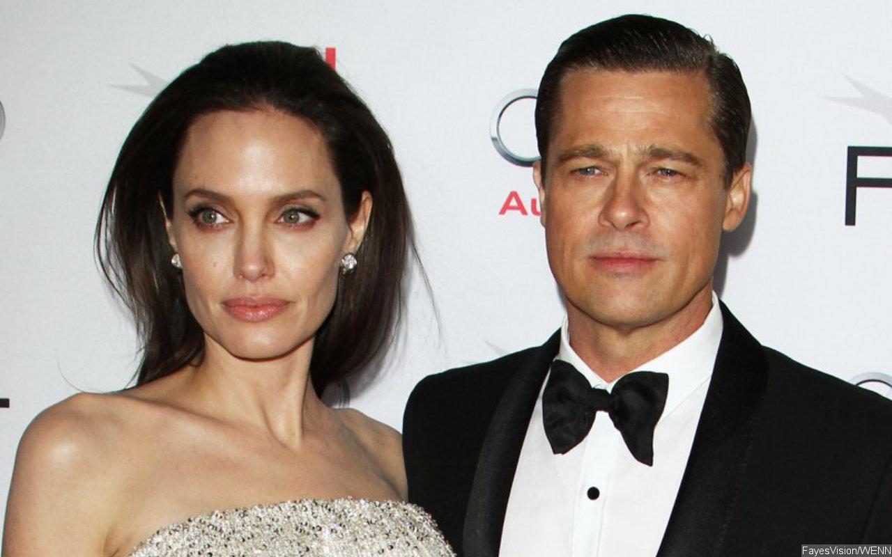 Brad Pitt Accuses Angelina Jolie of Inflicting Harm on Him With Winery Sale - Vimarsana News