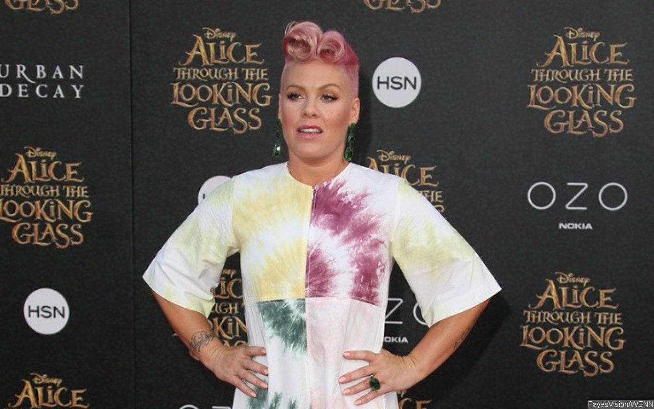 Pink Tells Fans Supporting Roe v. Wade Overturn to 'F**k Right Off'