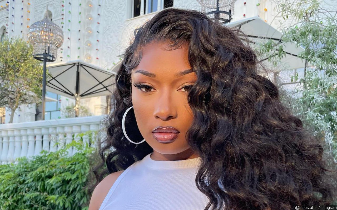 Meghan Thee Stallion 