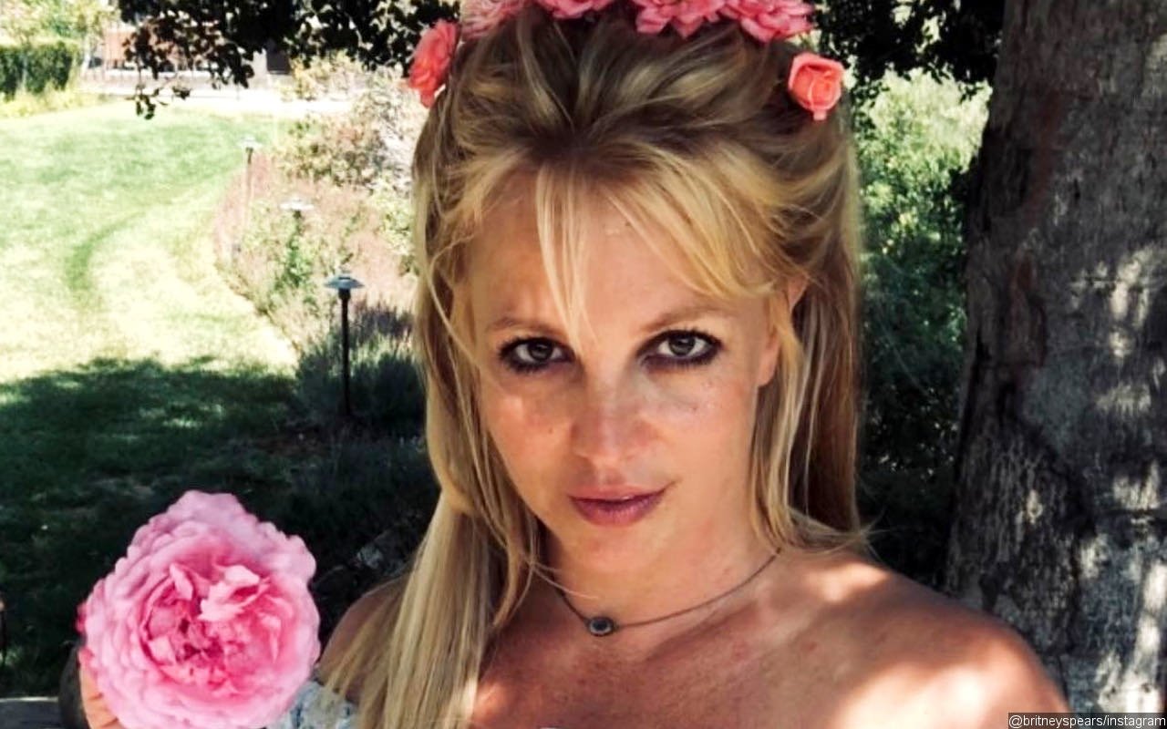 Britney Spears Claims Documentaries About Her Make Her Feel 'Bullied'