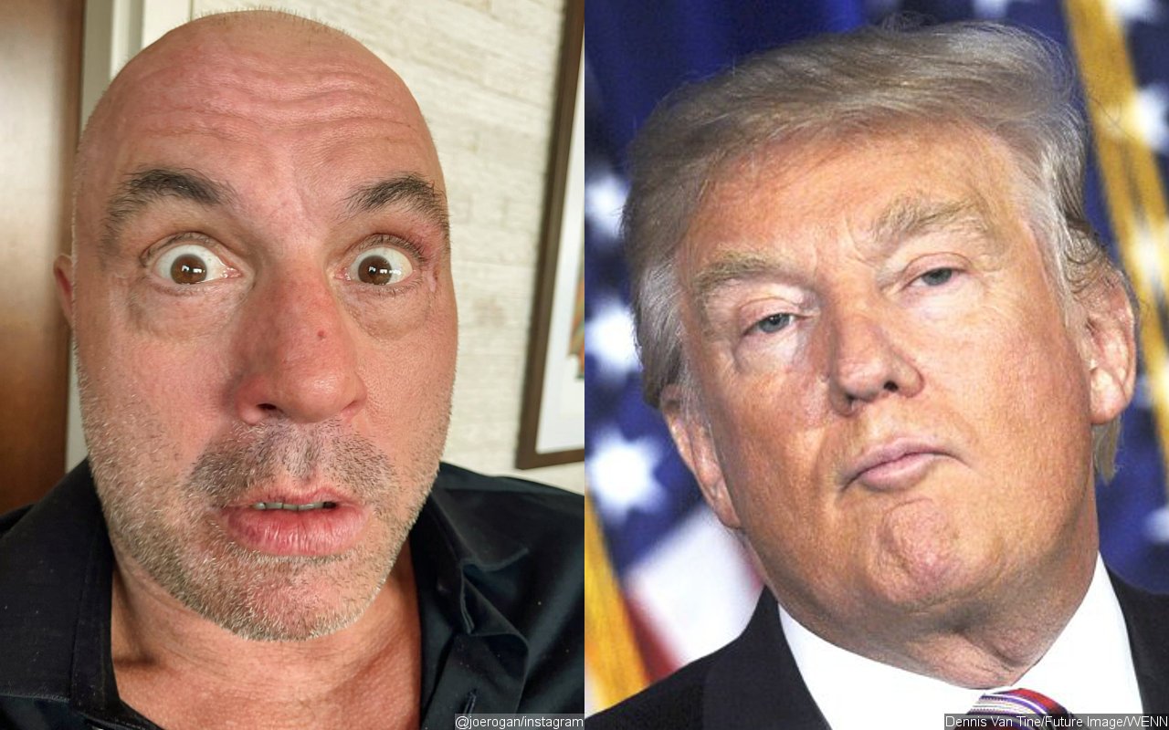 Joe Rogan Suggests Donald Trump Used Adderall During His Presidency, Dubs Him a 'Man Baby'
