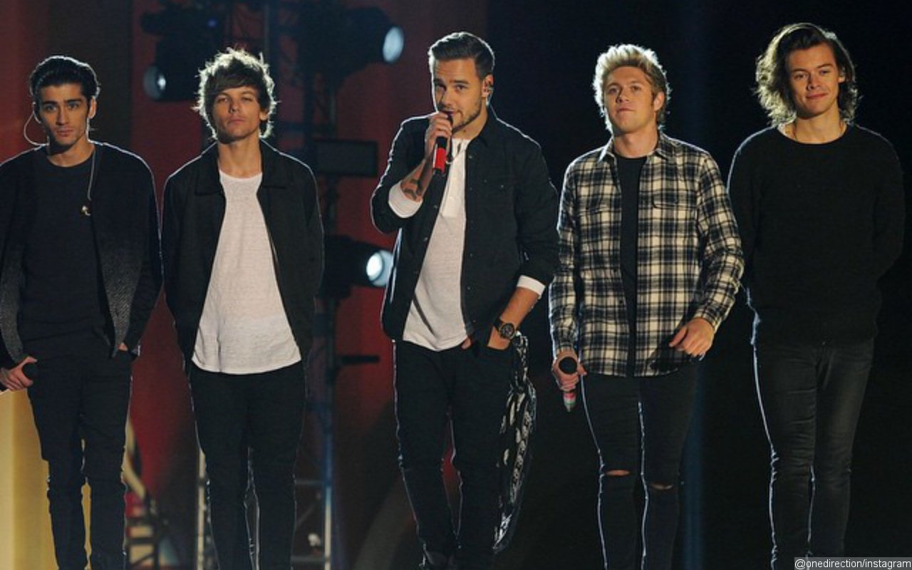 Louis Tomlinson Says He's 'Immensely Proud' of One Direction
