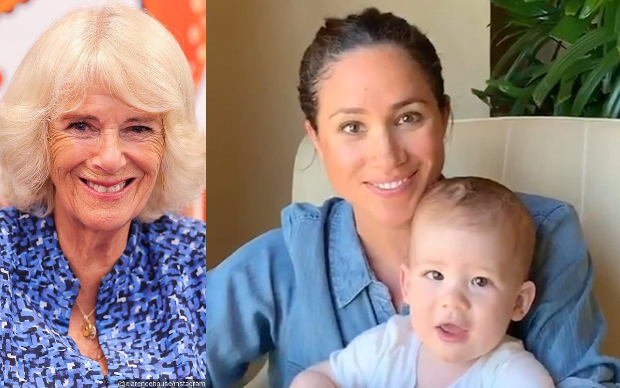 Camilla Parker Allegedly Made This 'Racist' Comment on Meghan Markle and Prince Harry's Son