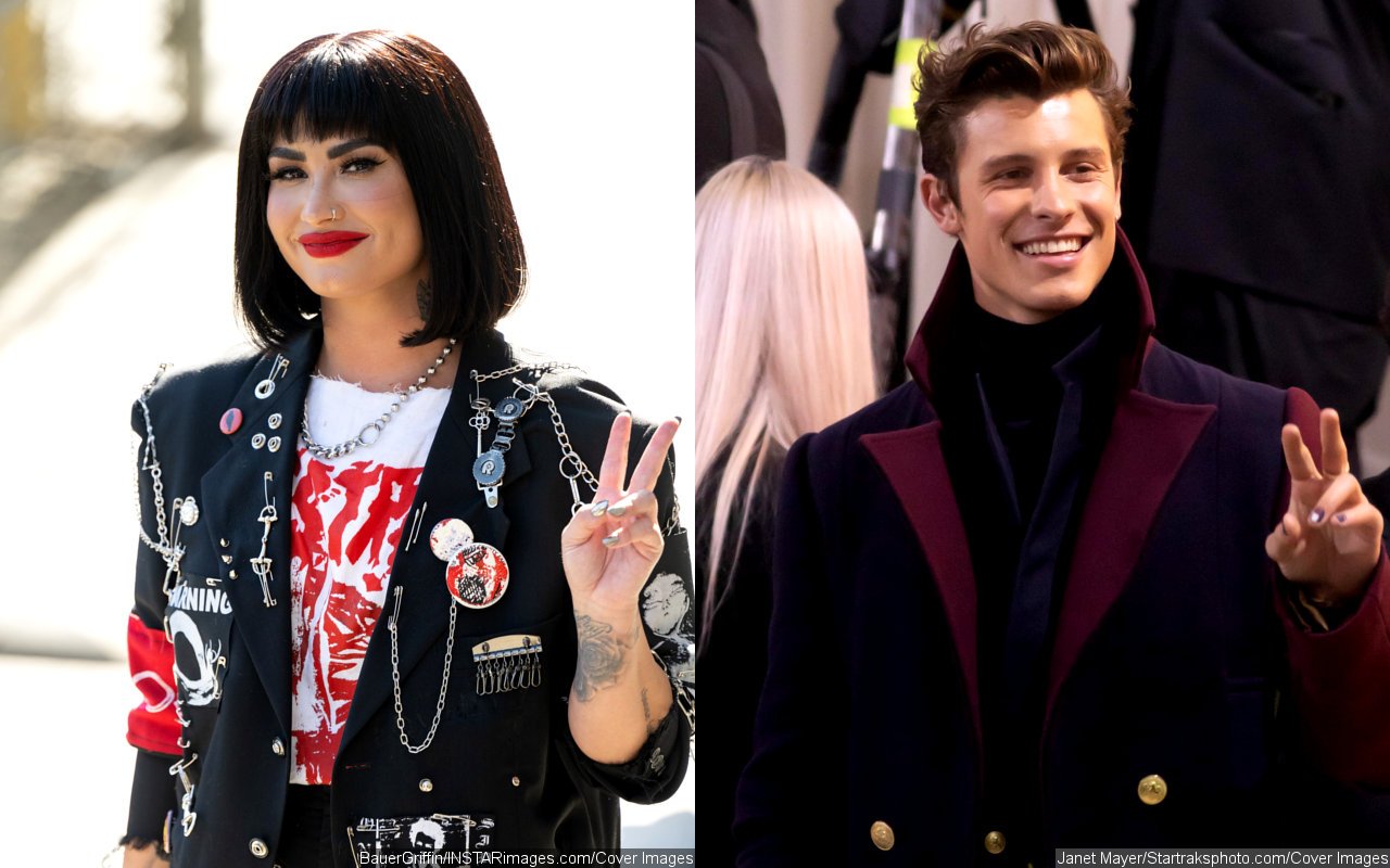 Demi Lovato Can Relate to Shawn Mendes' Mental Health Issue: 'That's Never a Fun Feeling' - Vimarsana News
