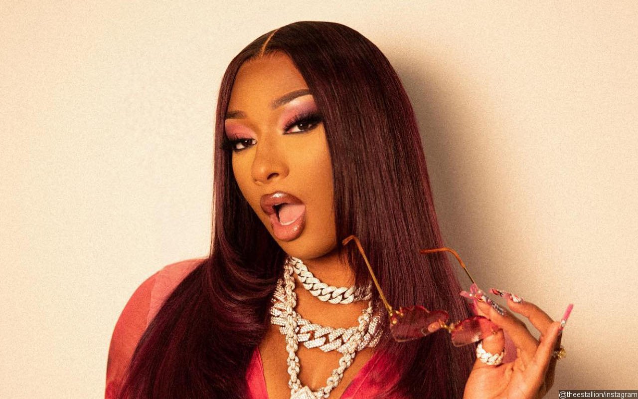 Megan Thee Stallion Teases New Album Is 'for the Hotties' When Revealing She's Finished It