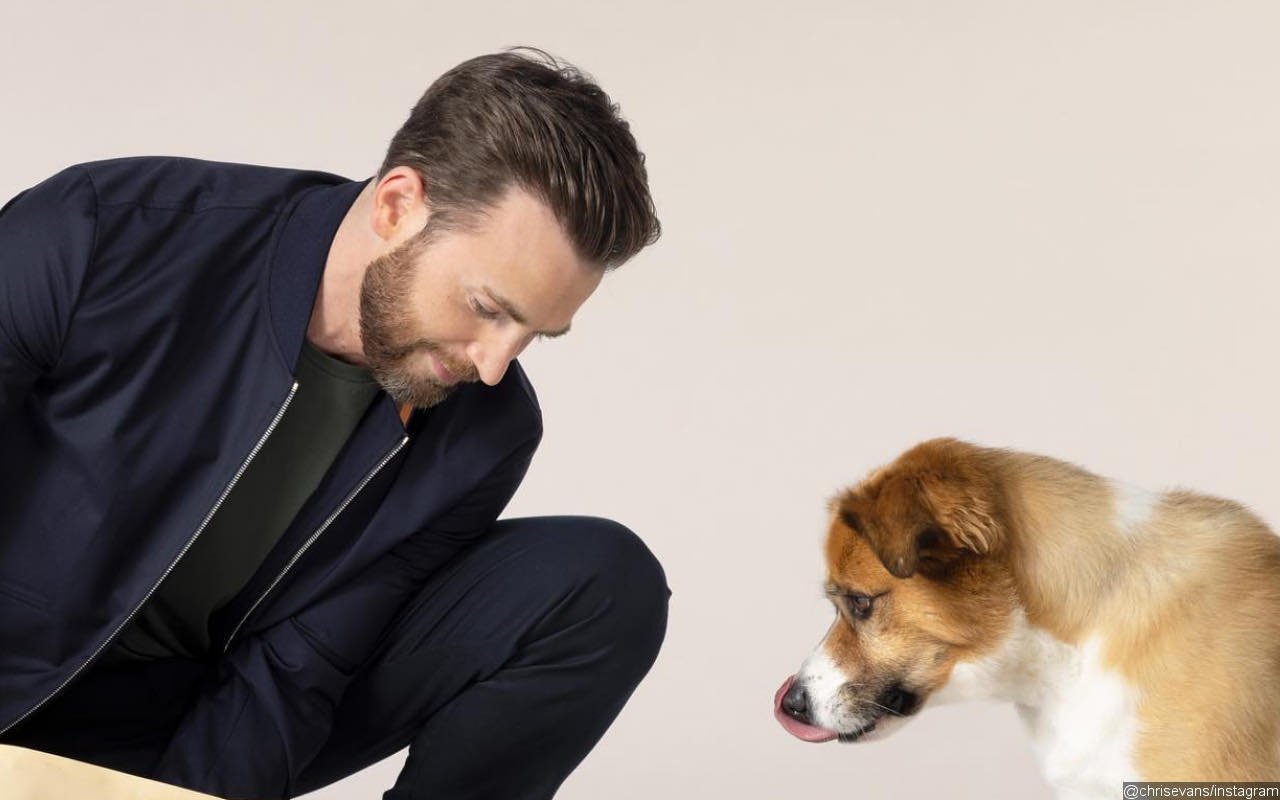 Chris Evans Lists Dog Lover Among Important Criteria of Future Girlfriend