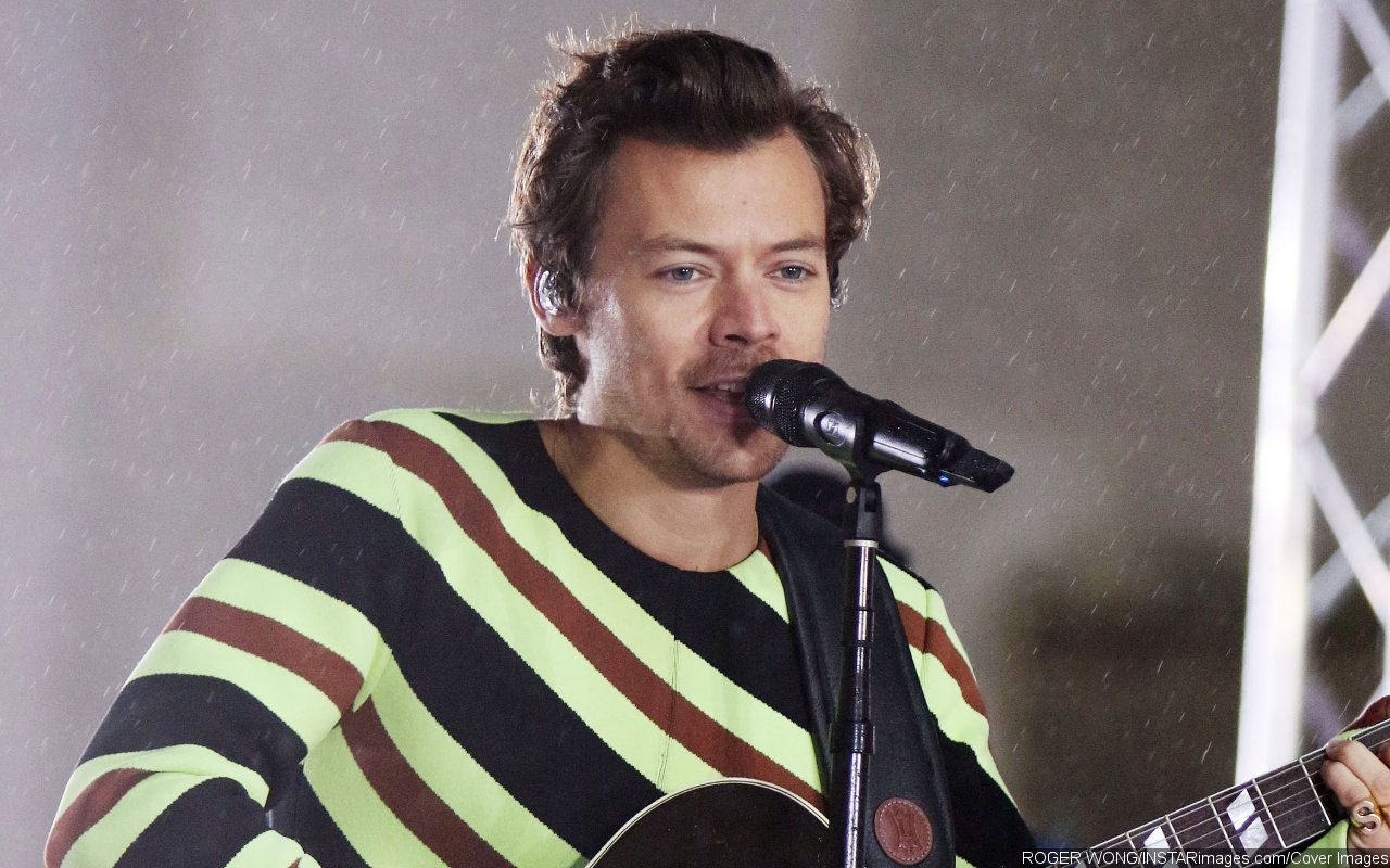 Harry Styles Pauses Mid-Song at Concert to Give His Mic to a Fan for Epic Proposal - Vimarsana News