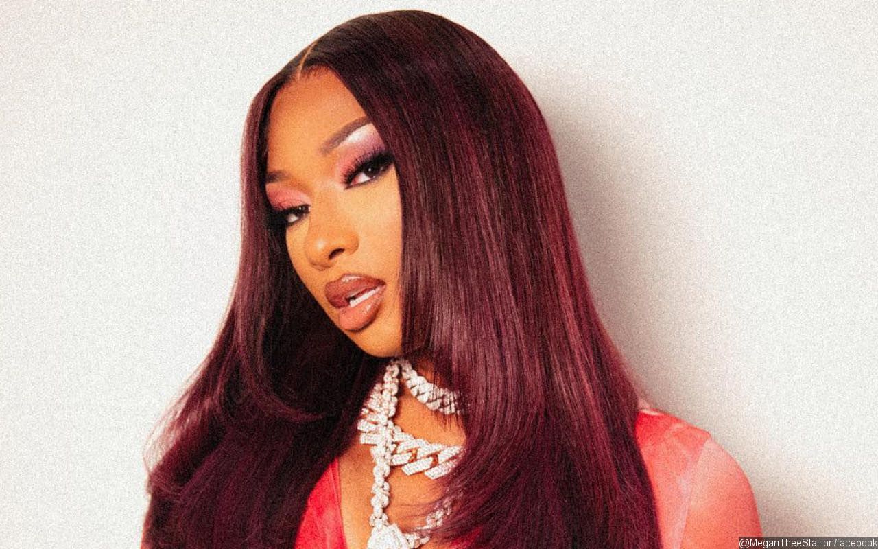 Megan Thee Stallion Rants Against Her Label for Allegedly Leaking Her Music