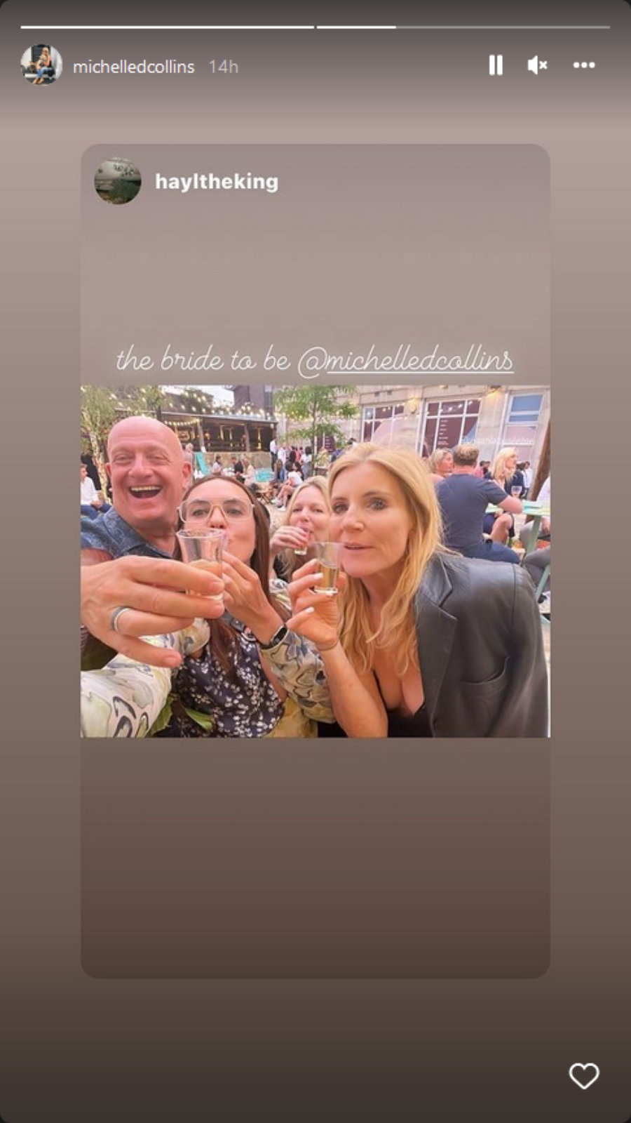 Michelle Collins' IG Story
