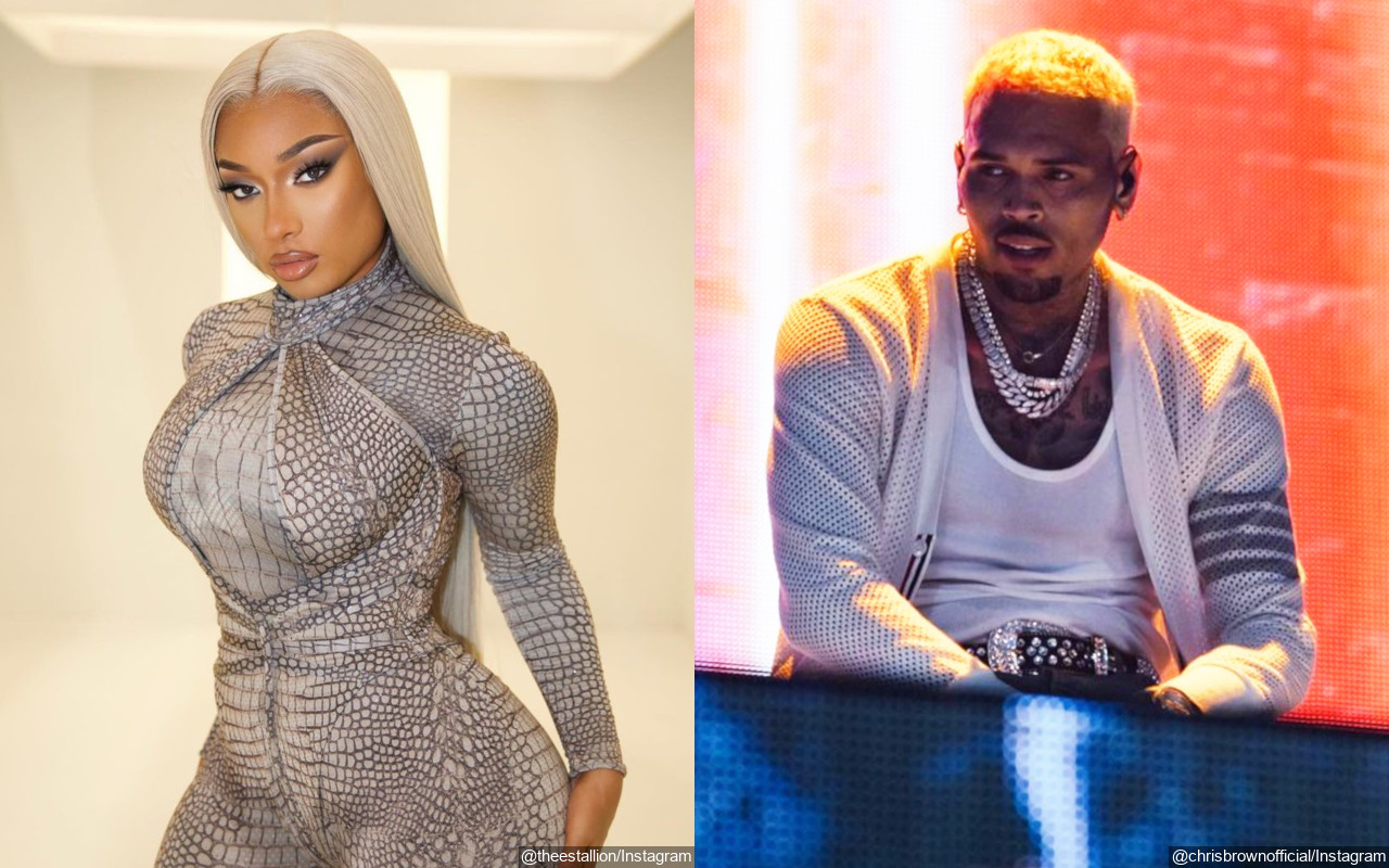 Megan Thee Stallion Follows in Chris Brown's Footsteps in Having Personal Meet and Greet