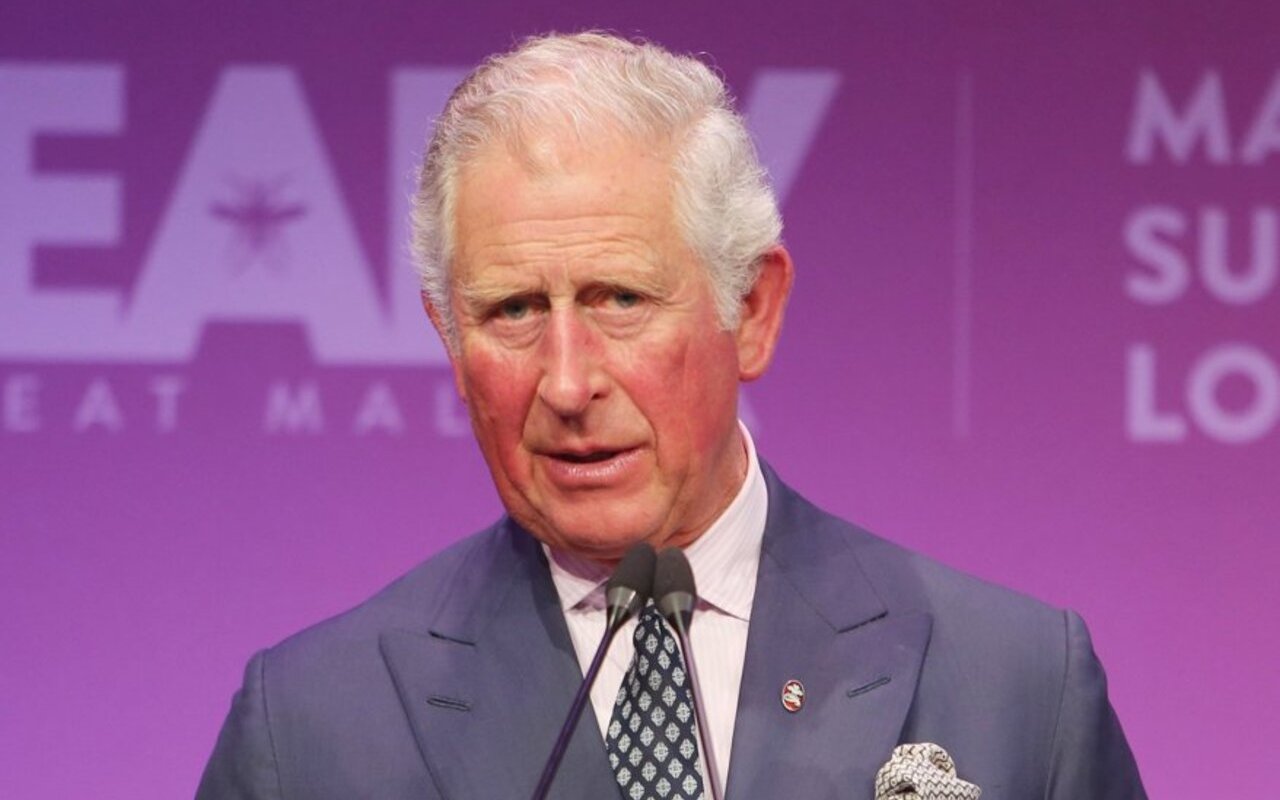 Prince Charles Insists He's Nothing Like 'The Crown' Portrayal - Vimarsana News