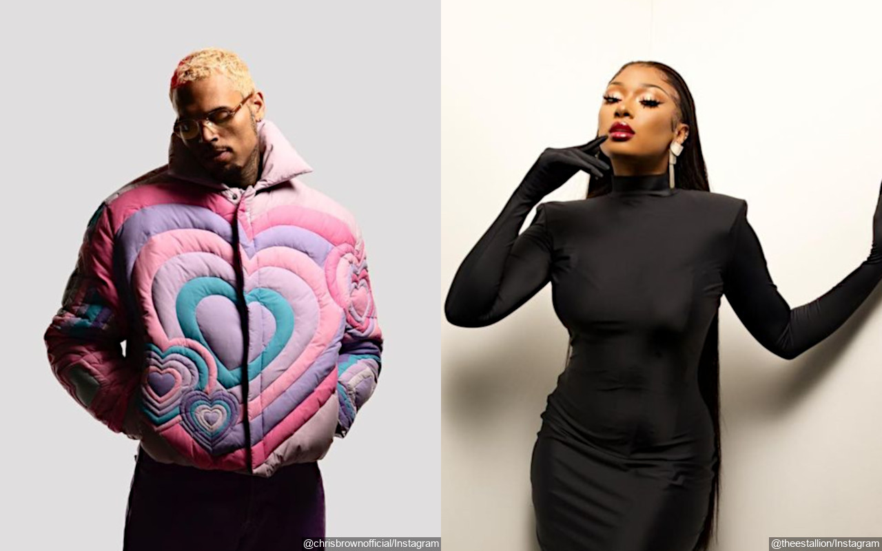 Chris Brown 'Happy' After His Meet and Greet Inspires Megan Thee Stallion to Get Close With Fans