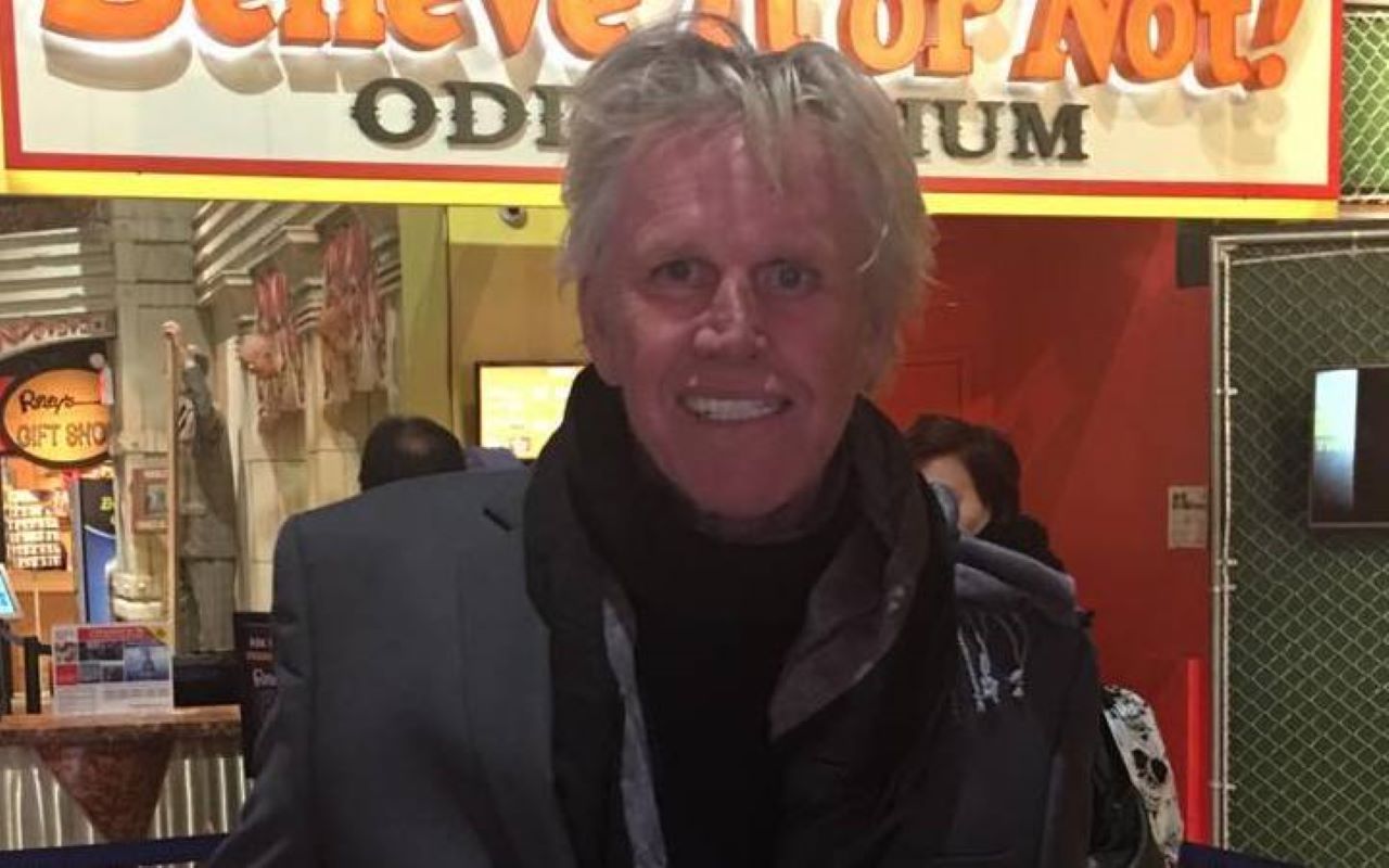 Gary Busey Slapped With Sex Charges After Appearing at Film Convention