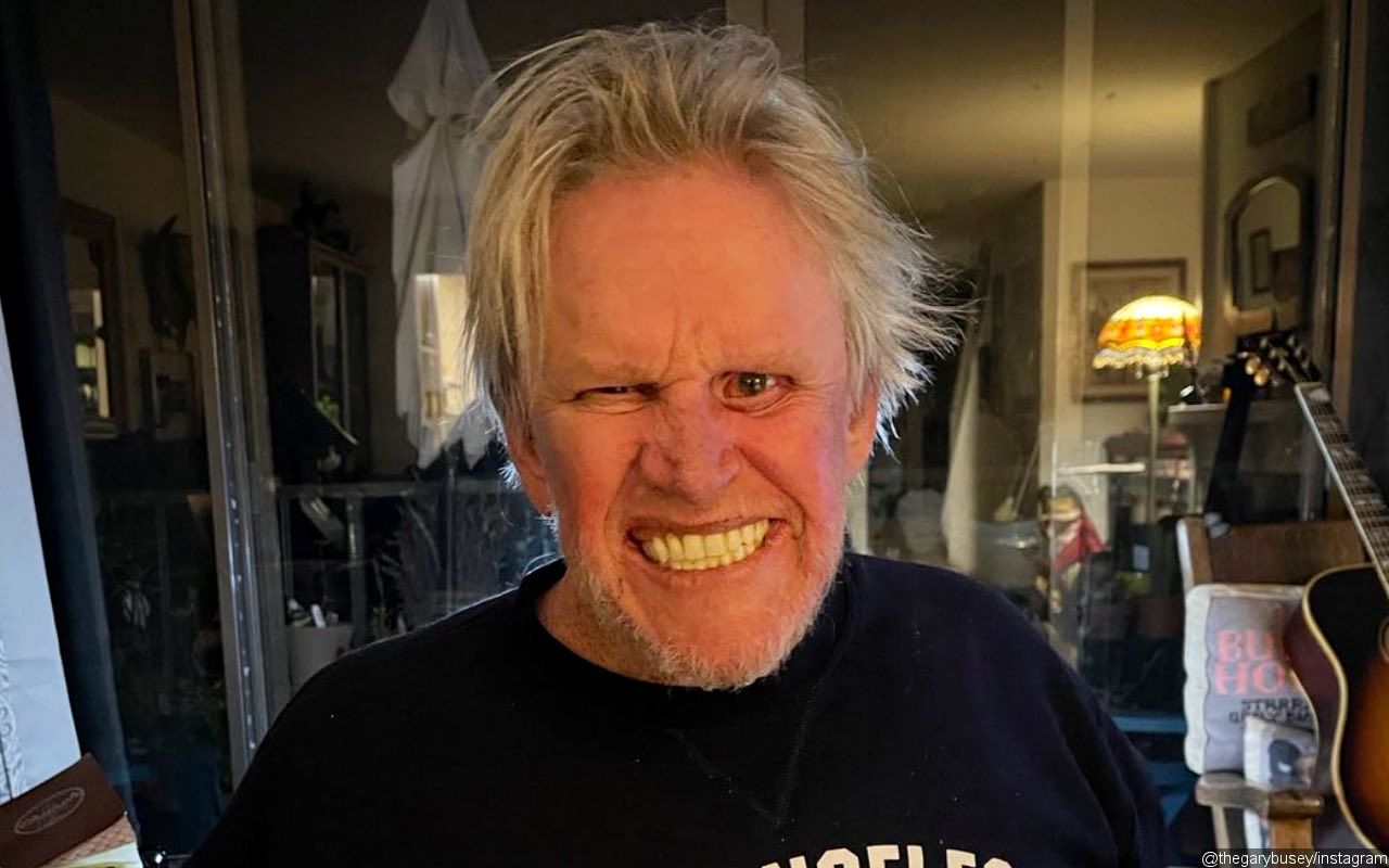 Gary Busey Maintains Innocence After Being Slapped With Sex Crime Charges