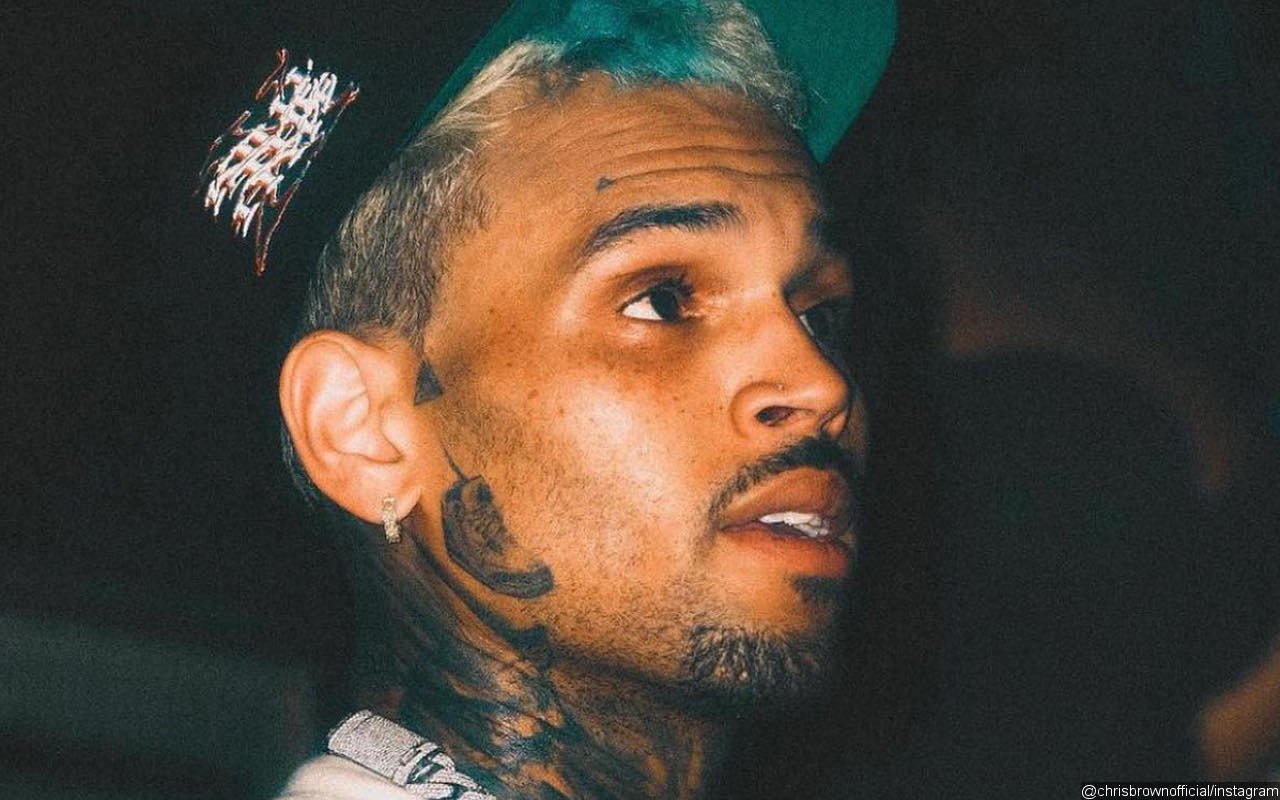 Chris Brown's Doppelganger Goes Viral After Announcing $1,500 Meet and Greets