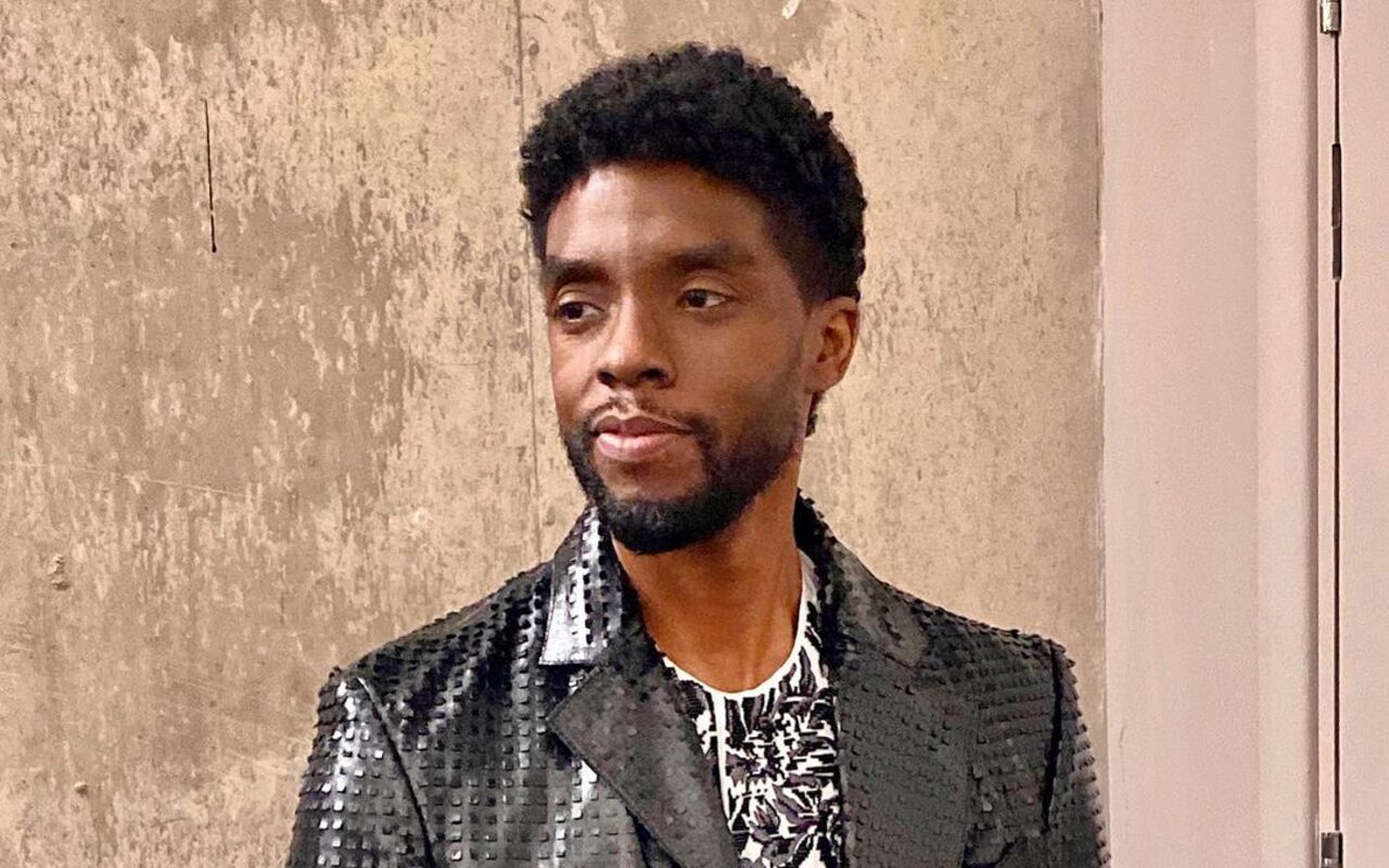 Chadwick Boseman Remembered by 'Black Panther' Cast Two Years After His Death