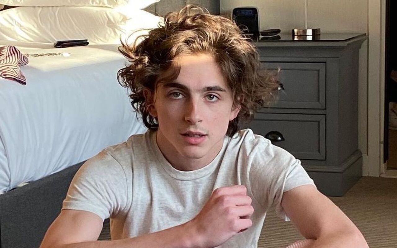 Timothee Chalamet Feels 'Societal Collapse Is in the Air' 