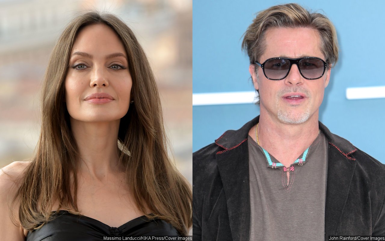 Angelina Jolie Accuses Brad Pitt of Seizing Control of Winery as Retaliation for Divorce - Vimarsana News