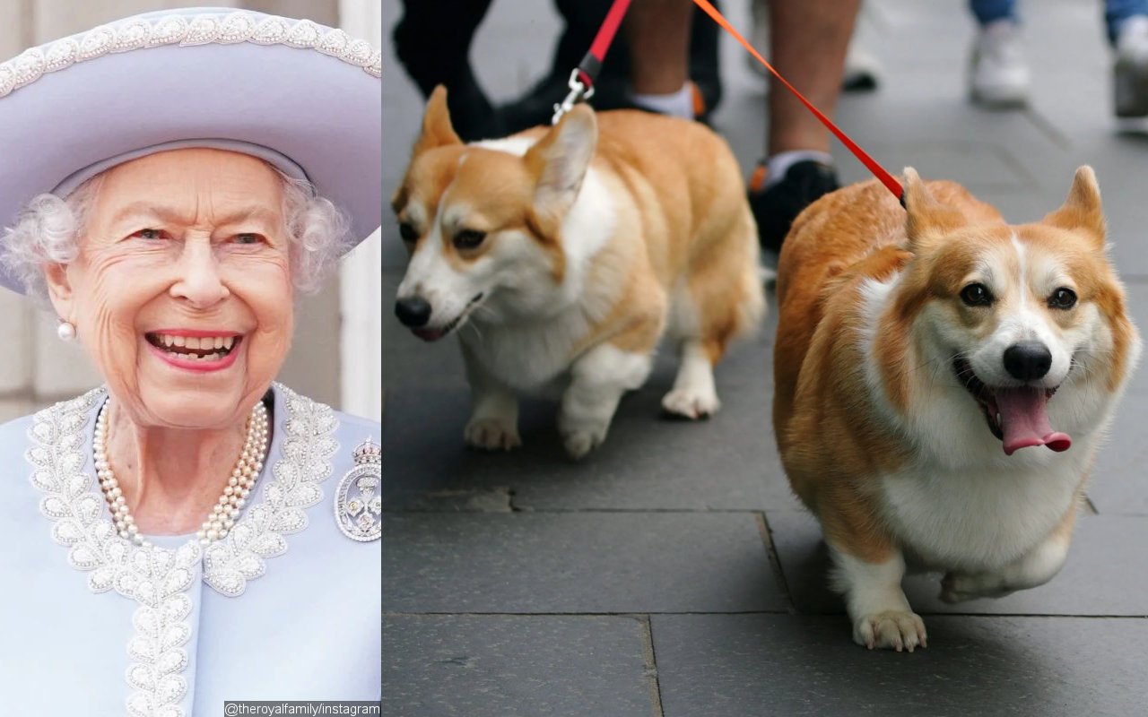 Queen Elizabeth 'Missed' By Her Corgis as They Are Aware of Her Death