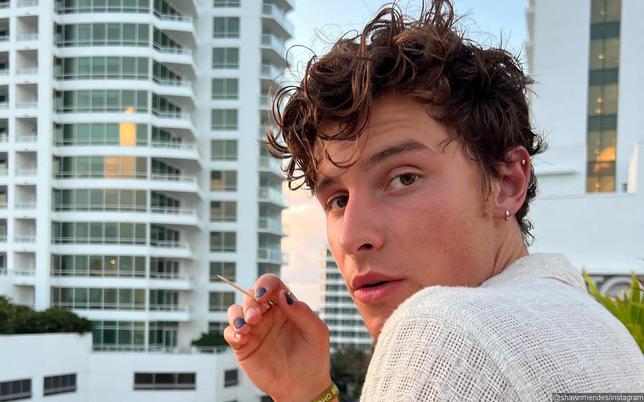 Shawn Mendes Looks Rested During Casual Stroll After Canceling Tour Due to Mental Health Struggle
