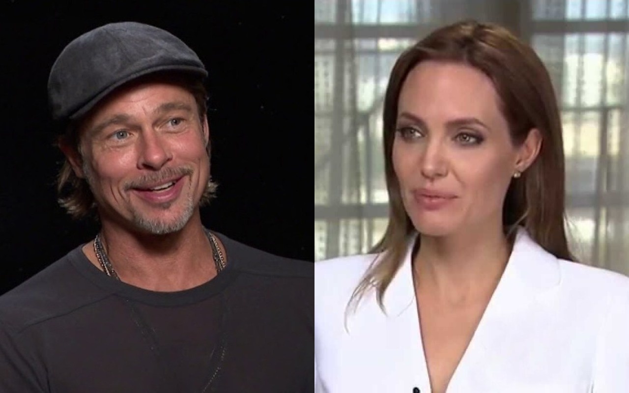 Brad Pitt Choked and Hit Kids as They Tried to Protect Mom Angelina Jolie During Plane Altercation