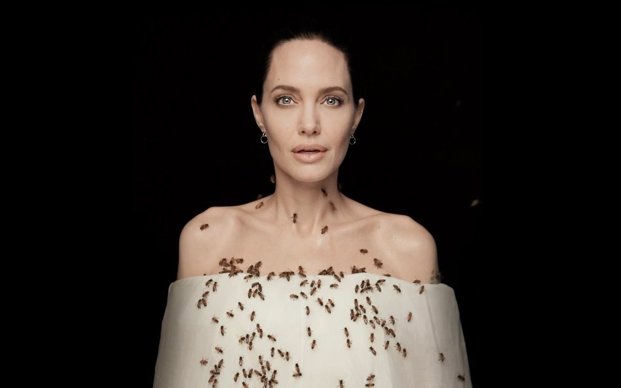 Angelina Jolie Bee Picture Wins International Photo Awards