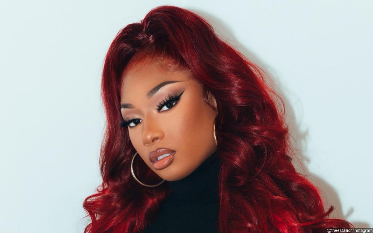 Megan Thee Stallion's TwitchCon Performance Interrupted by Fan