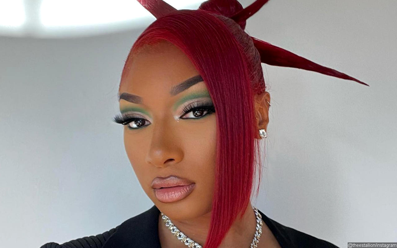 Megan Thee Stallion Reacts to Los Angeles Home Robbery: 'Wow'