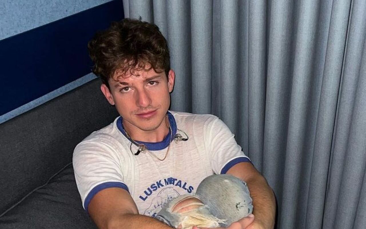 Charlie Puth 'in Love' With His Childhood Sweetheart