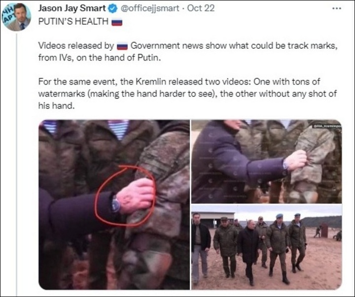 Vladimir Putin's rare appearance