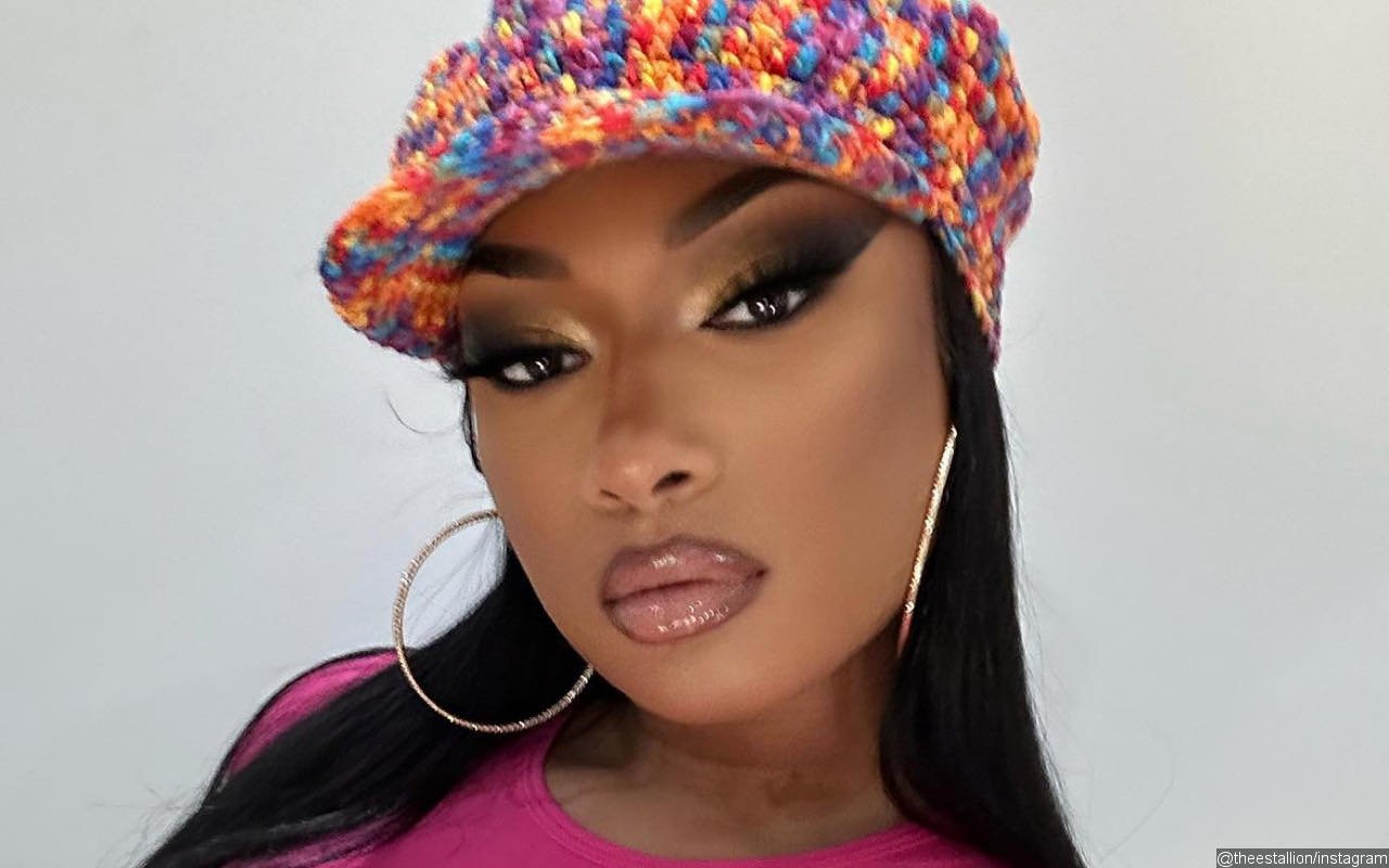 Megan Thee Stallion Shares Court Docs as She Slams False Report About Legal Battle With Label 1501