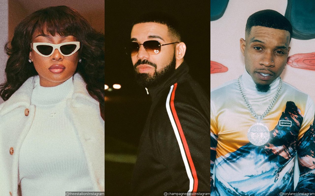 Megan Thee Stallion's Lawyer Slams 'Silly' Drake for Doubting She's