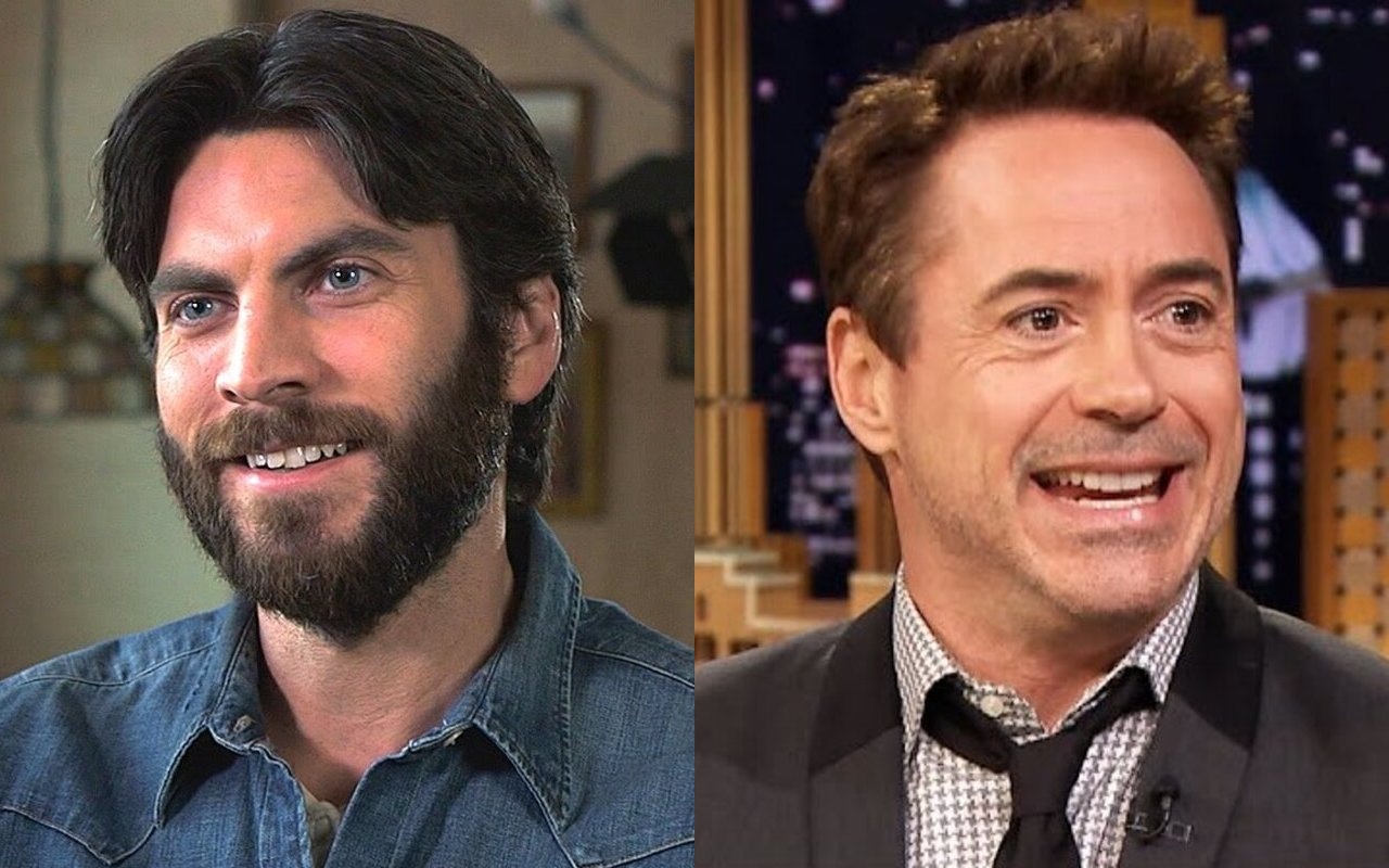 Wes Bentley Saved From 'Death's Door' by Robert Downey Jr.