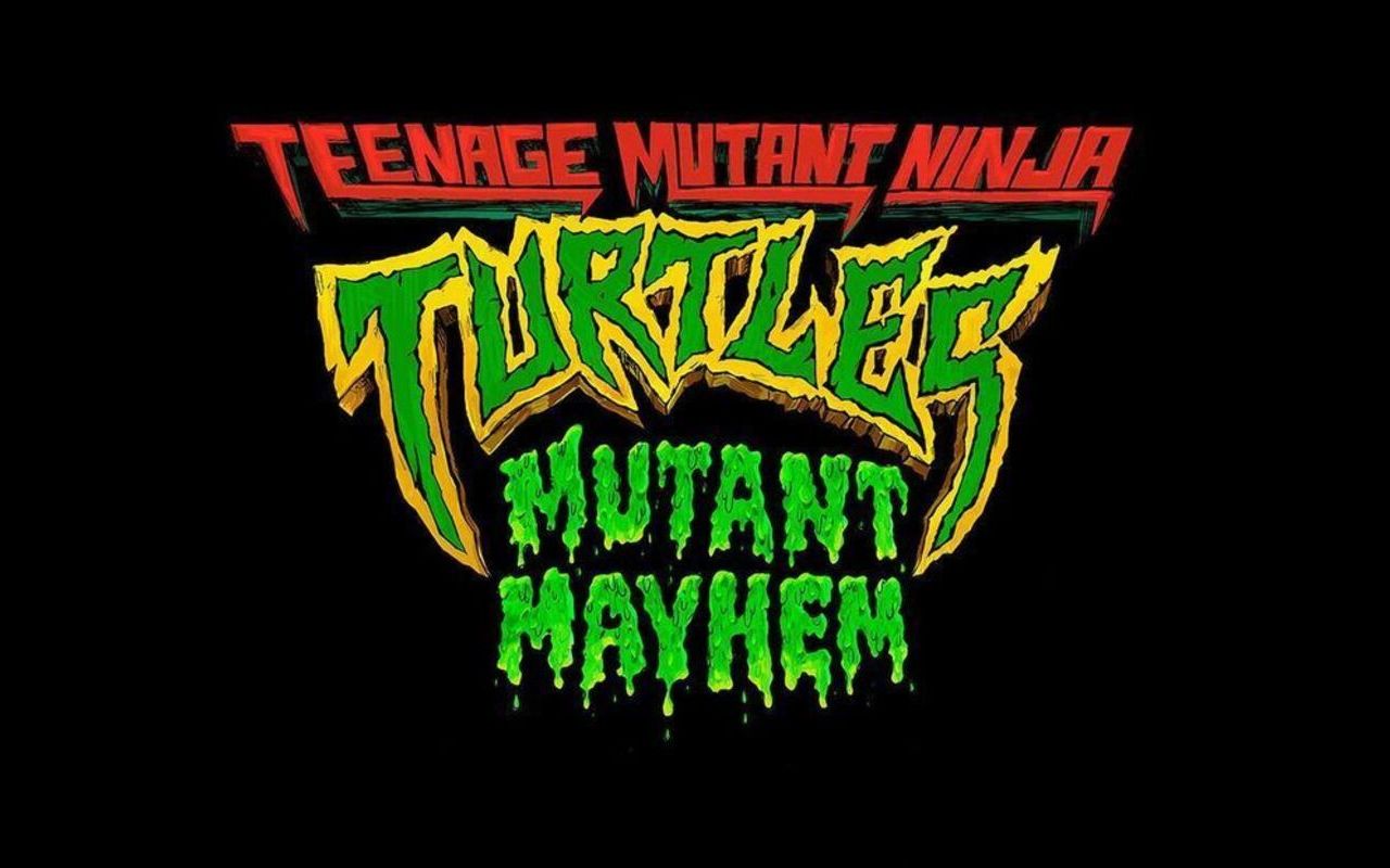 Seth Rogen Promises 'Deeply Personal' Reboot for 'Teenage Mutant Ninja Turtles'