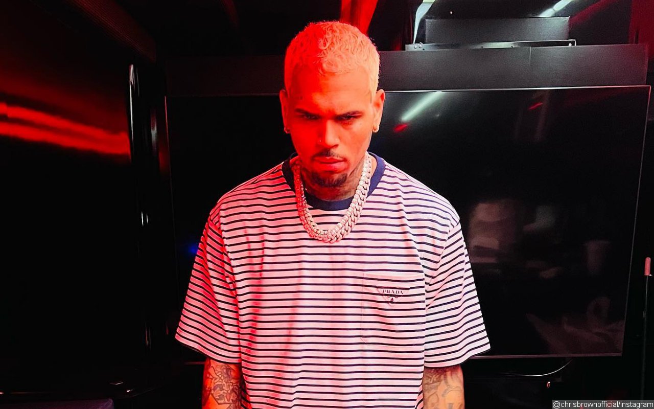 Chris Brown Breaks Silence After Fans Are Torn Over 'Under the Influence' Lyrics